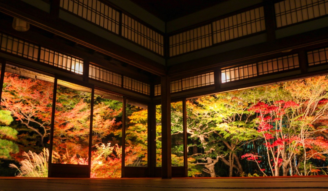 天授庵　ライトアップ